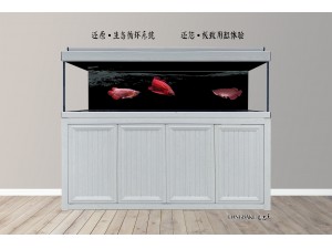龙巴克智能龙鱼缸