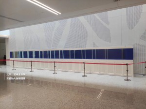 金海王实景案例图-12米